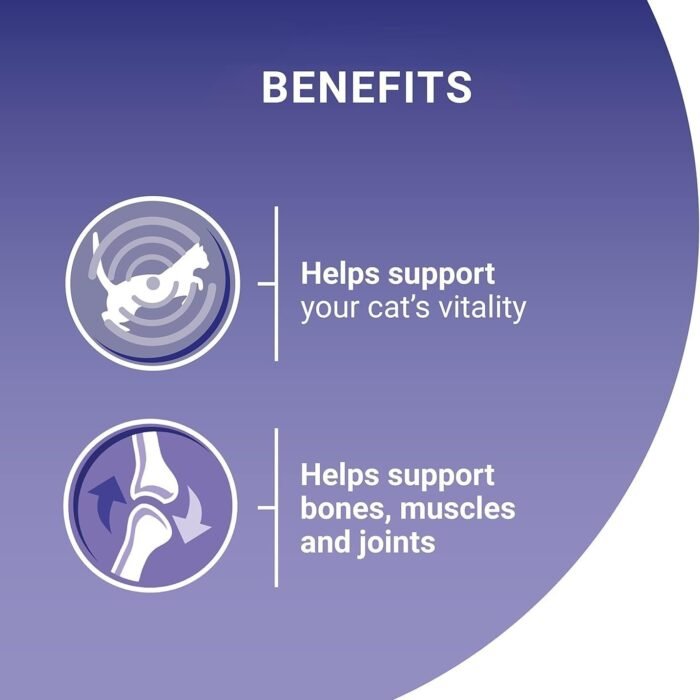 4_71ND81op6sL._AC_SL1500.jpg 4_71ND81op6sL._AC_SL1500.jpg