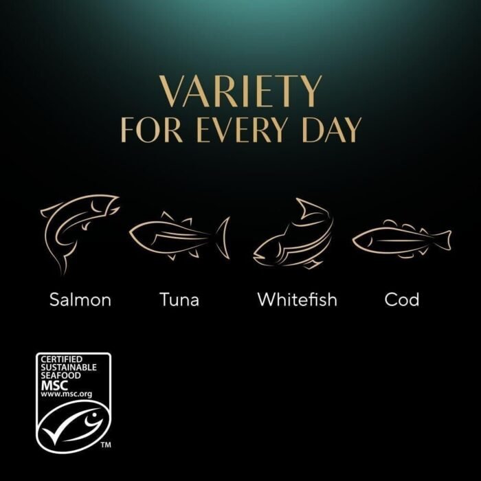 51h2OD4JpL._AC_SL1000.jpg 51h2OD4JpL._AC_SL1000.jpg