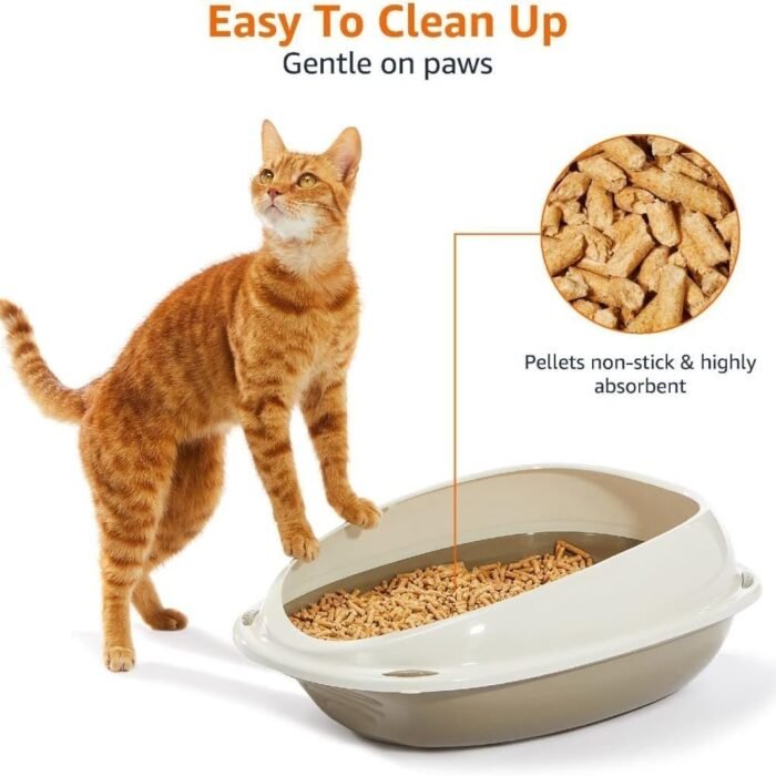 61-7pxj2xDL._AC_SL1080.jpg 61-7pxj2xDL._AC_SL1080.jpg