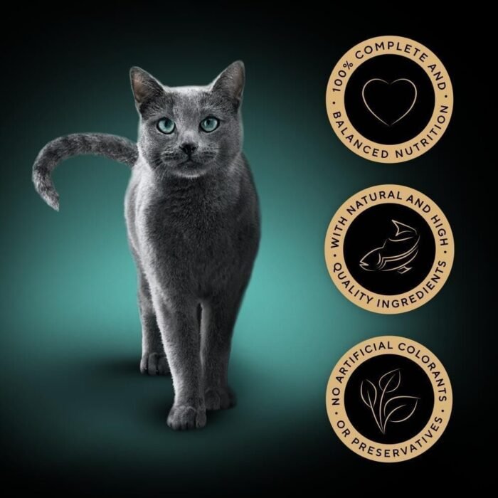 61-bGbhukRL._AC_SL1000.jpg 61-bGbhukRL._AC_SL1000.jpg