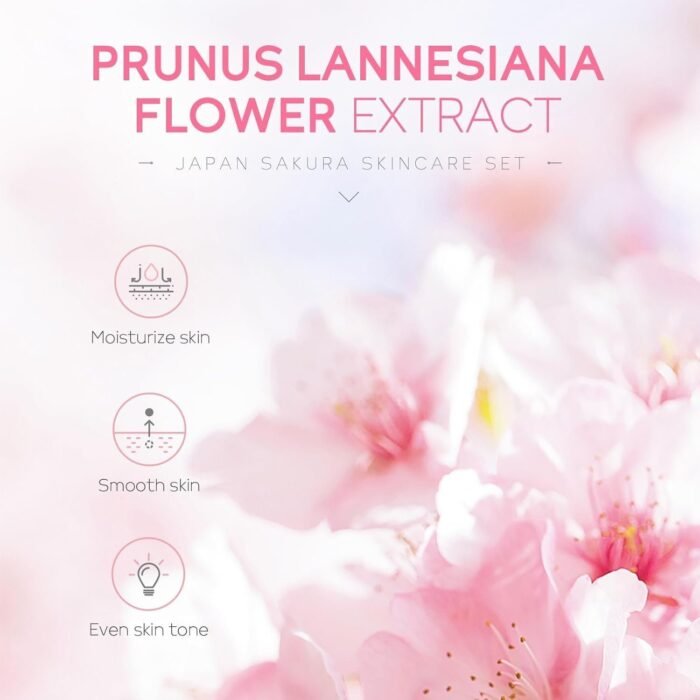 61MxbEQehtL._SL1500.jpg 61MxbEQehtL._SL1500.jpg