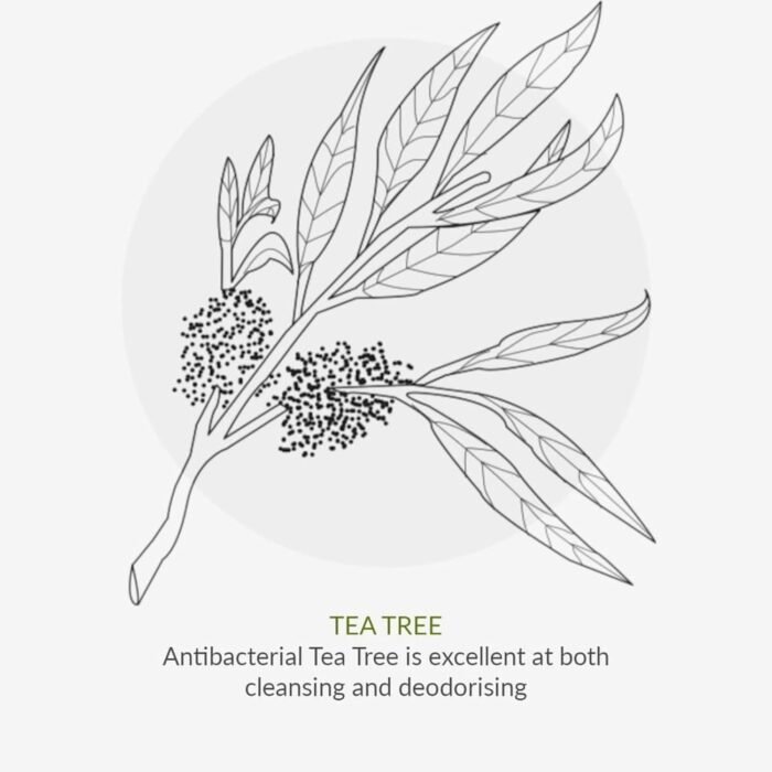 61nr1MdD43L._AC_SL1500.jpg 61nr1MdD43L._AC_SL1500.jpg