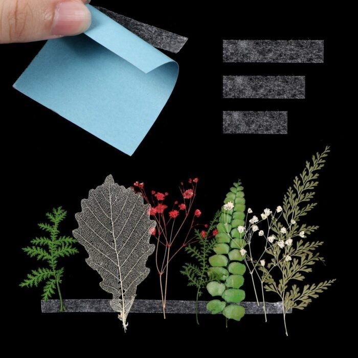 711zBFDAVGL._SL1500.jpg 711zBFDAVGL._SL1500.jpg