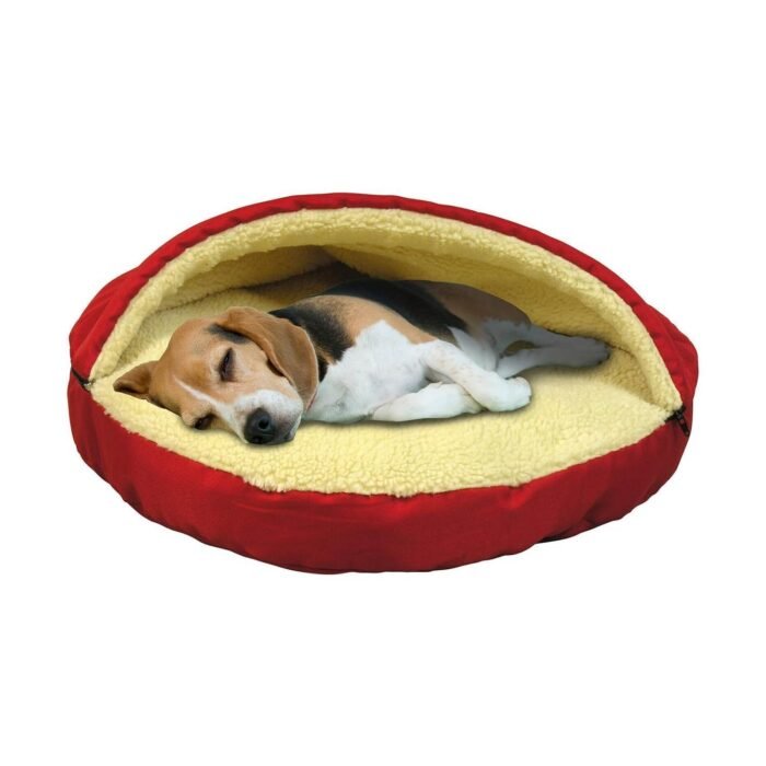 71avZ0YGIZL._AC_SL1500.jpg 71avZ0YGIZL._AC_SL1500.jpg