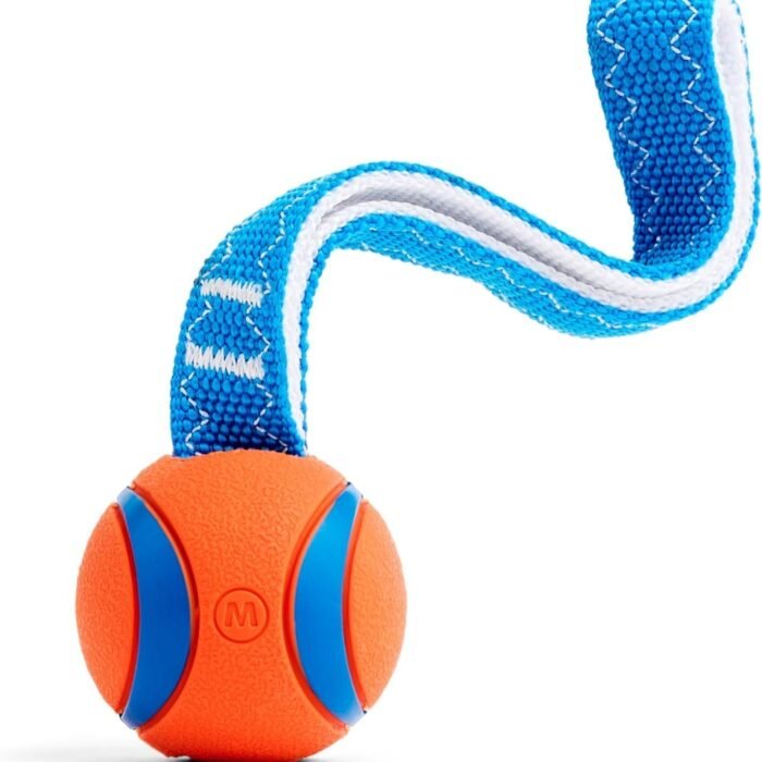 71iwl8mB5qL._AC_SL1500.jpg 71iwl8mB5qL._AC_SL1500.jpg