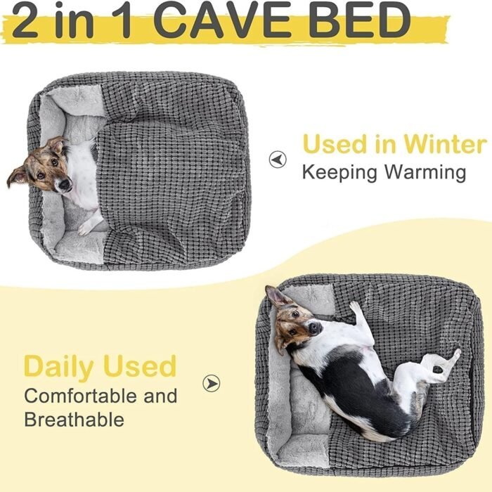 81JkjR4NdxL._AC_SL1500.jpg 81JkjR4NdxL._AC_SL1500.jpg