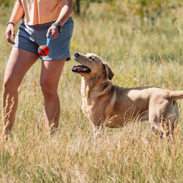 91vWZuRSNvL._AC_SL1500.jpg 91vWZuRSNvL._AC_SL1500.jpg